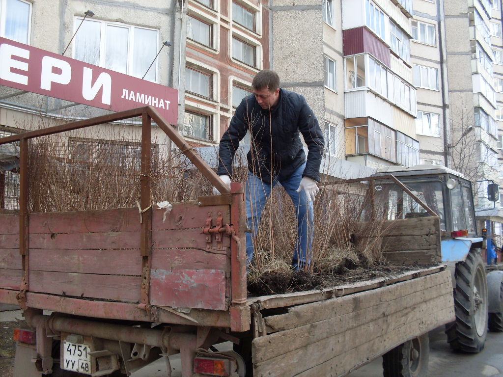 SDC10848.JPG