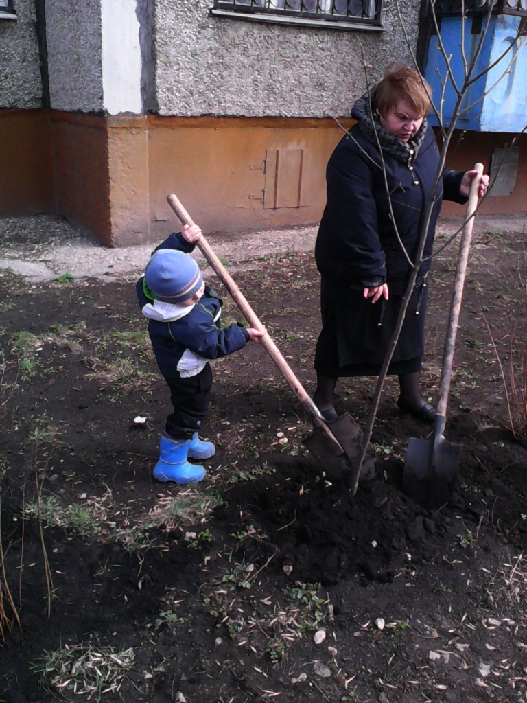 IMG_20150417_121133.jpg