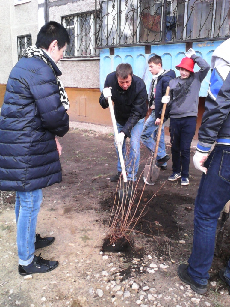 IMG_20150417_120430.jpg
