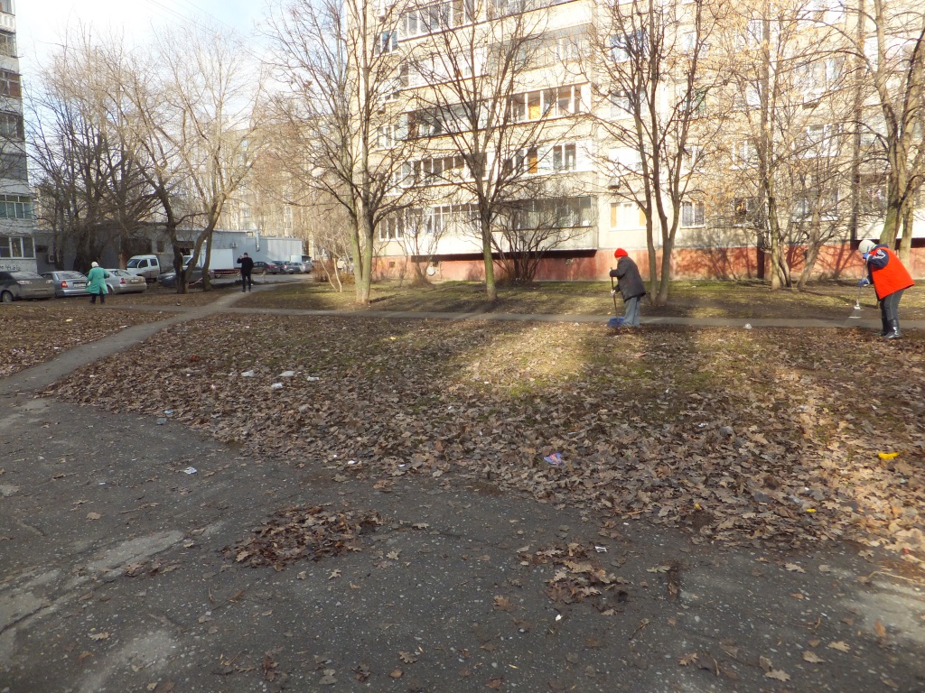 DSCF6124.JPG