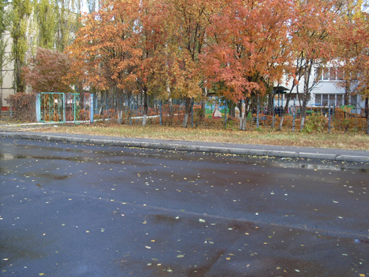 SDC11055.JPG
