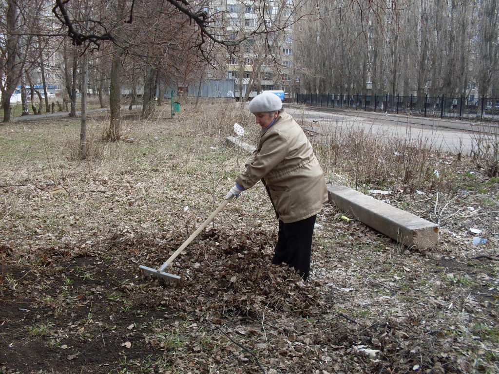 SDC10843.JPG
